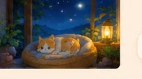 星夜壁纸